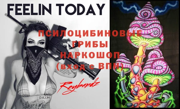 эйфоретик Аркадак