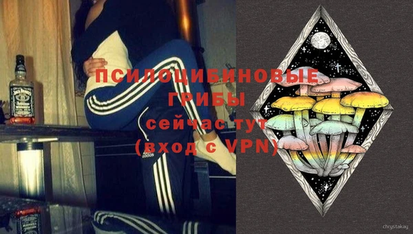 эйфоретик Аркадак
