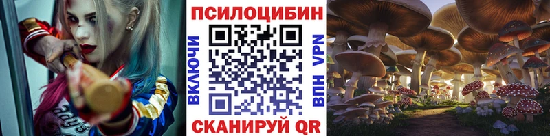 Псилоцибиновые грибы Cubensis Армянск